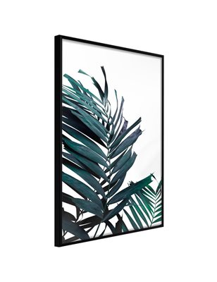 Poster Evergreen Palm Leaves